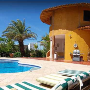 POSADA STEVIE WONDERLAND