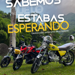 Moto EK Arsen II 200